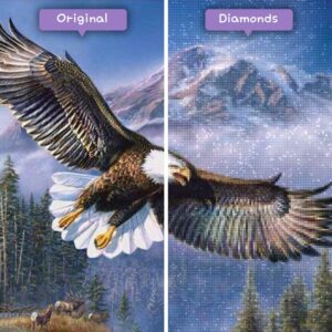 diamanter-trollkarl-diamant-målningssatser-djur-fågel-bergsörn-före-efter-jpg