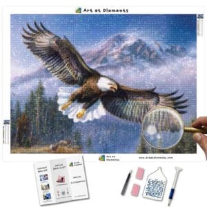 Diamonds-Wizard-Diamond-Painting-Kits-Animals-Vogel-Bergadler-Leinwand-jpg