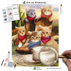 diamonds-wizard-diamond-painting-kits-animals-cat-cowboys-kittens-canvas-jpg