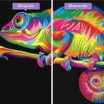 diamonds-wizard-diamond-painting-kits-animals-chameleon-multicolor-chameleon-before-after-jpg
