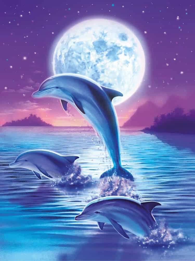 diamenty-czarodziej-zestawy-do-diamentowego-malowania-Zwierzęta-Dolphin-Dolphin-and-Full-Moon-original.jpg