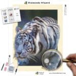 diamanter-trollkarl-diamant-målningssatser-djur-tiger-3d-vit-tiger-canvas-jpg