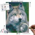 Diamonds-Wizard-Diamond-Painting-Kits-Animals-Wolf-Grey-Wolf-Canvas-jpg
