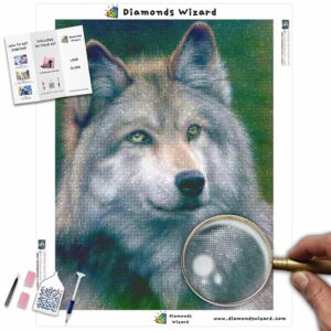 diamonds-wizard-diamond-painting-kits-animals-wolf-grey-wolf-canvas-jpg
