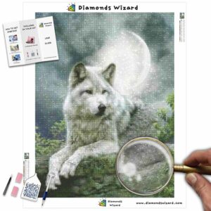 Diamonds-Wizard-Diamond-Painting-Kits-Tiere-Wolf-Wolf-und-Vollmond-Leinwand-jpg