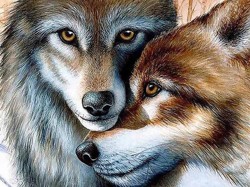 Diamonds-Wizard-Diamond-Painting-Kits-Animals-Wolf-Wolves-Hugging-Original.jpg