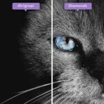 diamonds-wizard-diamond-painting-kits-animals-cat-black-cat-with-blue-eyes-before-after-jpg