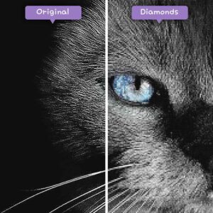 diamonds-wizard-diamond-painting-kits-dieren-kat-zwarte-kat-met-blauwe-ogen-voor-na-jpg