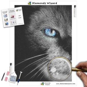 diamanter-trollkarl-diamant-målningssatser-djur-katt-svart-katt-med-blå-ögon-canvas-jpg