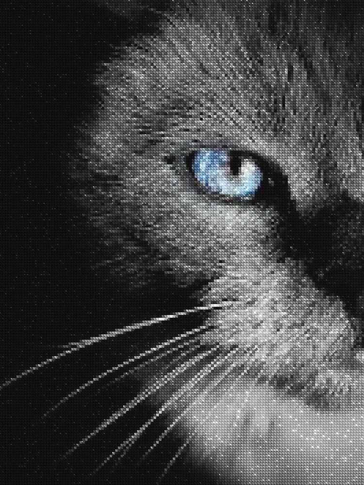 diamonds-wizard-diamond-painting-kits-Animals-Cat-Black-Cat-with-Blue-Eyes-diamonds.jpg