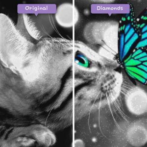 diamanter-trollkarl-diamant-målningssatser-djur-katt-katt-och-blå-fjäril-före-efter-jpg