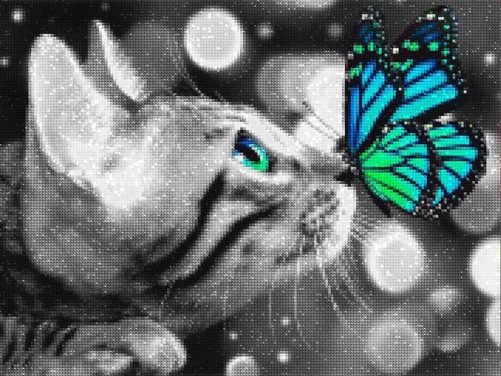 diamonds-wizard-diamond-paintingkits-Animals-Cat-Cat-and-blue-Butterfly-diamonds.jpg