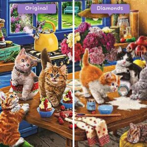 diamonds-wizard-diamond-painting-kits-dieren-katten-katten-rommelen-in-de-keuken-voor-na-jpg