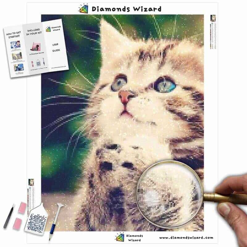 DiamondswizardDiamantmalerei-Set, Tiere, Katze, niedlich, Kätzchen, bittet um Vergebung, Leinwand, JPG