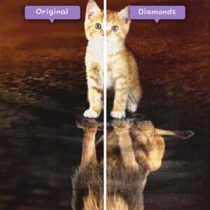 diamantes-mago-diamante-pintura-kits-animales-gato-gatito-reflejo-como-un-león-antes-después-jpg