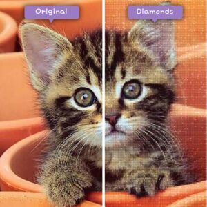 Diamonds-Wizard-Diamond-Painting-Kits-Animals-Cat-Kitten-Laying-in-Flower-Pots-Vorher-Nachher-jpg