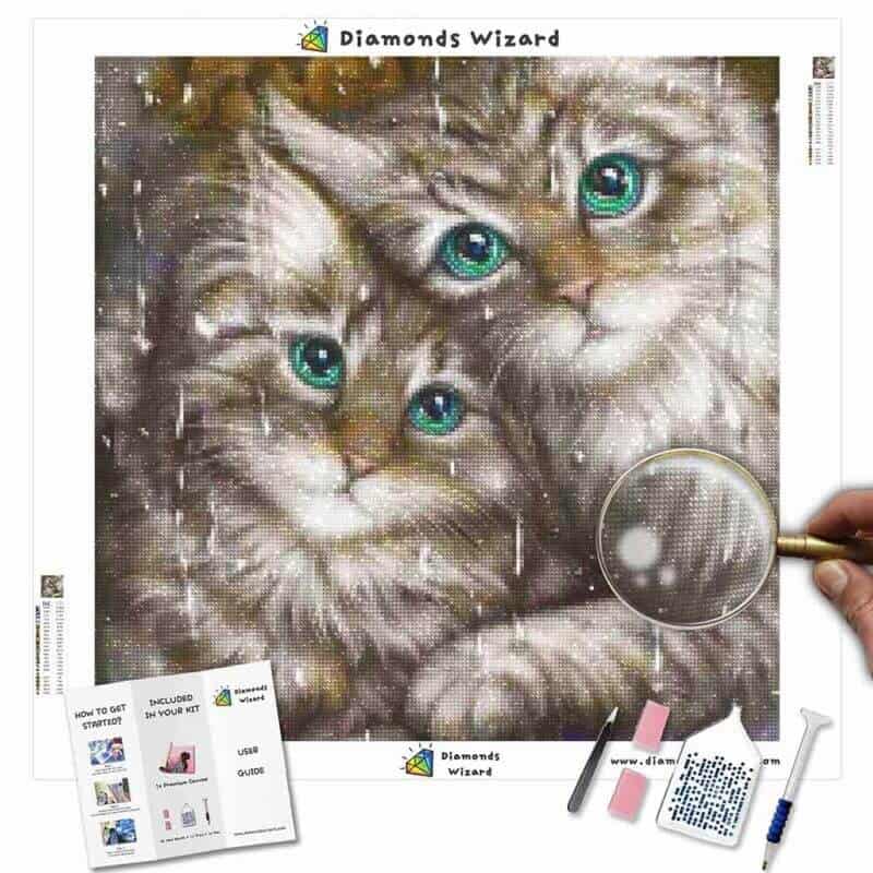 Diamanttrollkarldiamantmålningssatser djurkattungar som älskar regnduken jpg