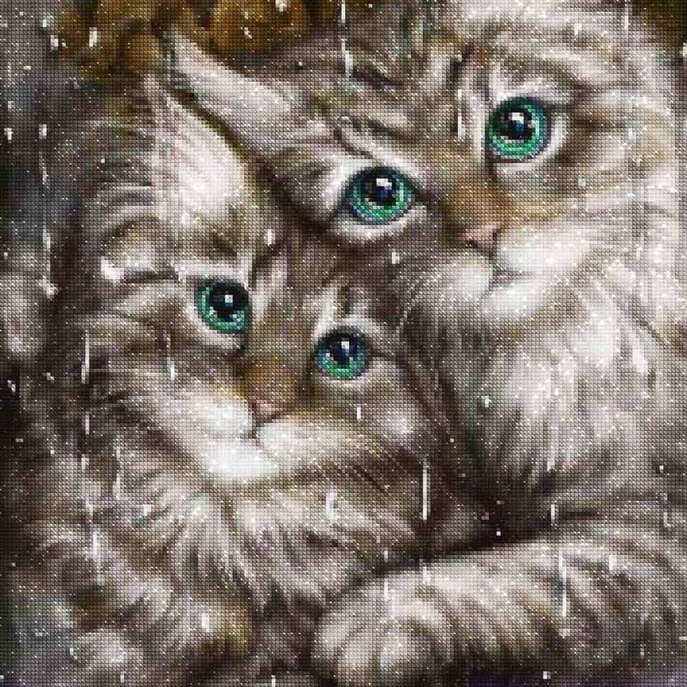 diamonds-wizard-diamond-painting-kits-Animals-Cat-Kittens-loving-the-Rain-diamonds.jpg