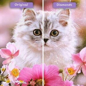 diamenty-czarodziej-diamenty-zestawy do malowania-zwierzeta-kot-bialy-kot-i-rozowe-kwiaty-przed-po-jpg