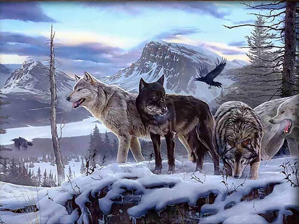 diamonds-wizard-diamond-paintingkits-Animals-Wolf-Wolf-Pack-original.jpg