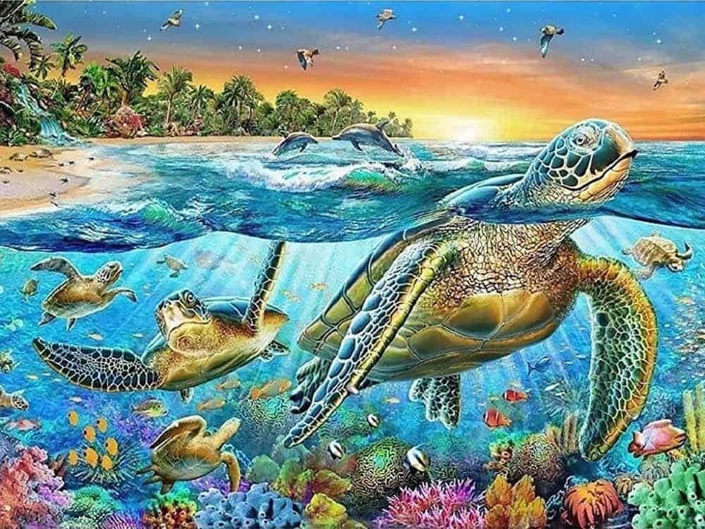 diamonds-wizard-diamond-painting-kits-Animals-Turtle-Ocean-Turtles-original.jpg