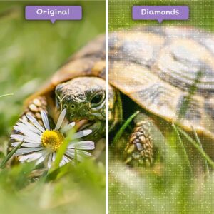 Diamonds-Wizard-Diamond-Painting-Kits-Animals-Turtle-Schildkröte-und-Gänseblümchen-vorher-nachher-jpg