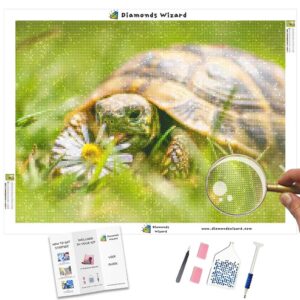diamonds-wizard-diamond-painting-kits-animals-turtle-tortoise-and-madeliefje-canvas-jpg
