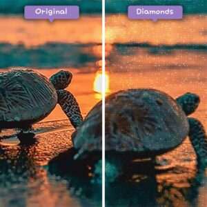 diamanter-troldmand-diamant-maleri-sæt-dyr-skildpadde-skildpadde-par-og-solnedgang-før-efter-jpg