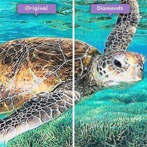 diamonds-wizard-diamond-painting-kits-animals-turtle-turtle-in-coral-before-after-jpg