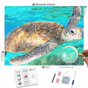 diamonds-wizard-diamond-painting-kits-animals-turtle-turtle-in-coral-canvas-jpg