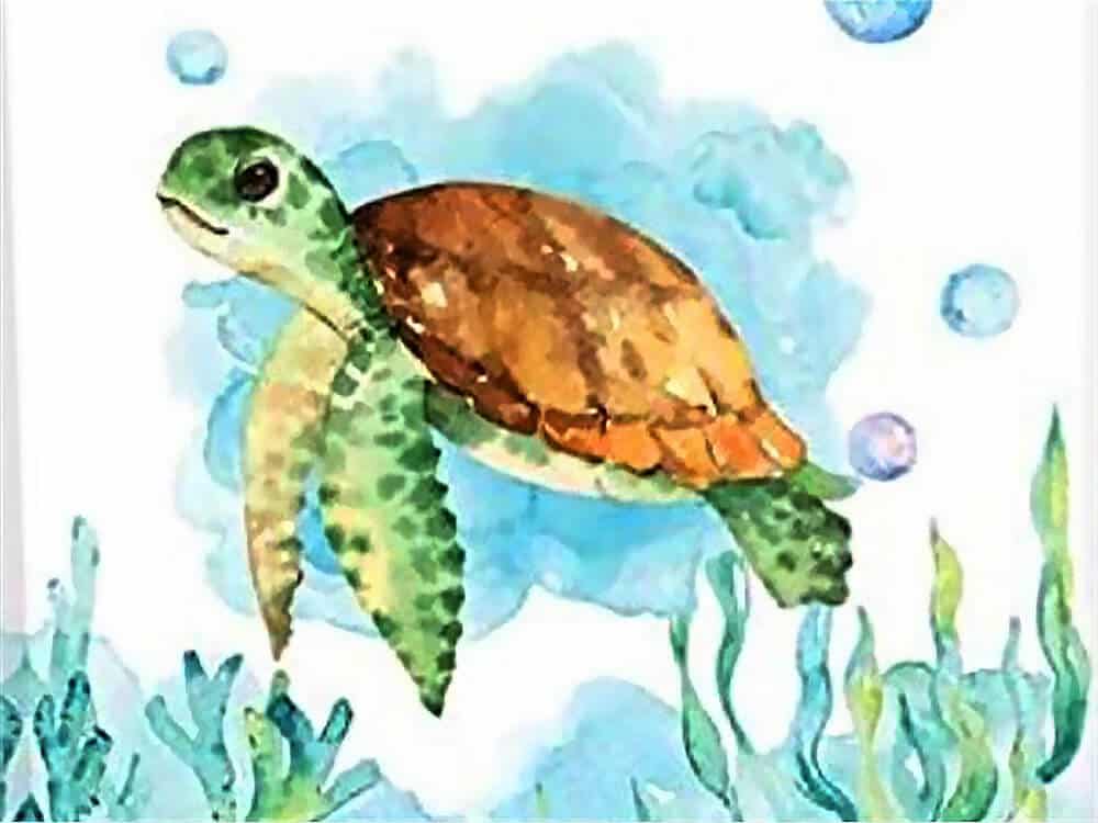 diamonds-wizard-diamond-painting-kits-Animals-Turtle-Watercolor-Baby-Turtle-original.jpg