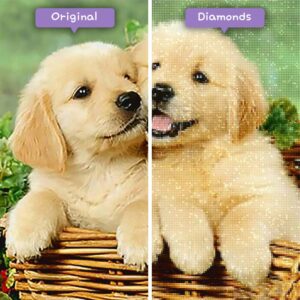 diamanter-veiviser-diamant-malesett-dyr-hund-valp-kurv-kompiser-før-etter-jpg