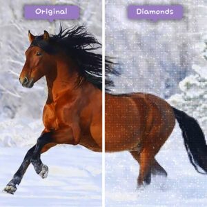 diamanter-veiviser-diamant-malesett-dyr-hest-galopperende-vinter-hest-før-etter-jpg