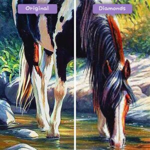 Diamonds-Wizard-Diamond-Painting-Kits-Animals-Horse-Pferd-refreshing-into-a-river-before-after-jpg