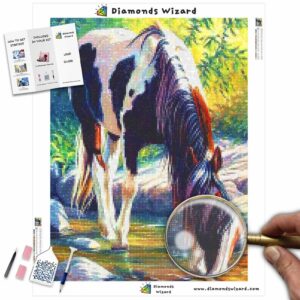 Diamonds-Wizard-Diamond-Painting-Kits-Animals-Pferd-Pferd-refreshing-into-a-river-canvas-jpg
