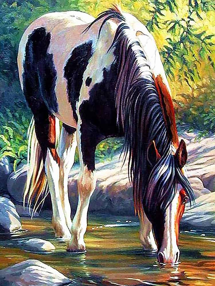 diamonds-wizard-diamond-painting-kits-Animals-Horse-Horse-Refreshing-Into-a-River-original.jpg