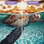 diamonds-wizard-diamond-painting-kits-animals-turtle-turtle-swimming-before-after-jpg