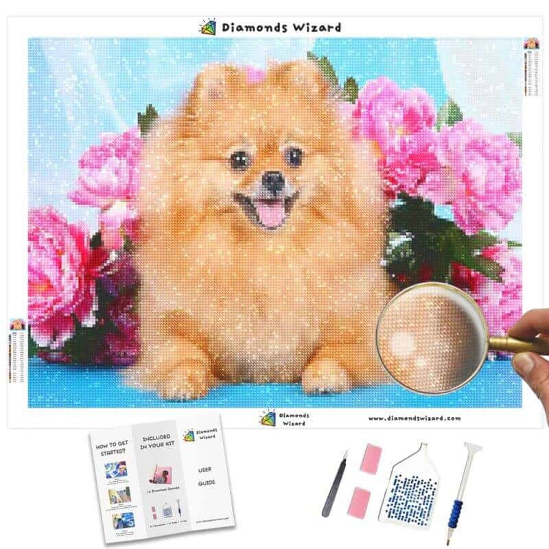 Diamanttrollkarldiamantmålarkitdjurhundfuzzyspitzdogcanvasjpg