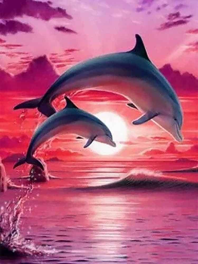 1pc Paint By Number Sea Sunset Dolphin Drawing On Canvas Animal No Frame  Oil Painting Home Decoration | SHEIN USA