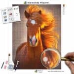 diamonds-wizard-diamond-painting-kits-animals-horse-brown-horse-charisma-canvas-jpg