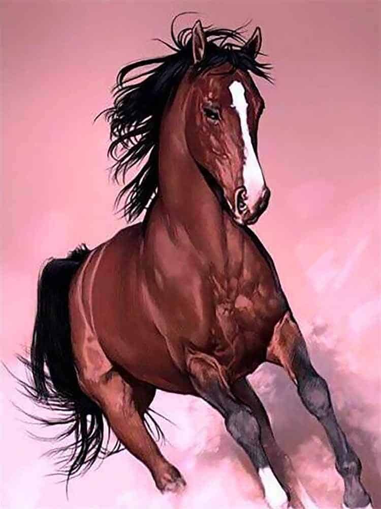 Diamonds-Wizard-Diamond-Painting-Kits-Animals-Horse-Galloping-Equine-Grace-original.jpg