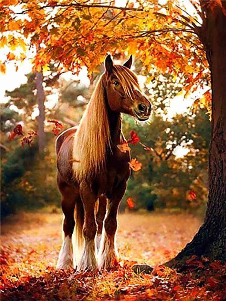Diamonds-Wizard-Diamond-Painting-Kits-Tiere-Horse-Horse-in-Autumn-Scene-original.jpg