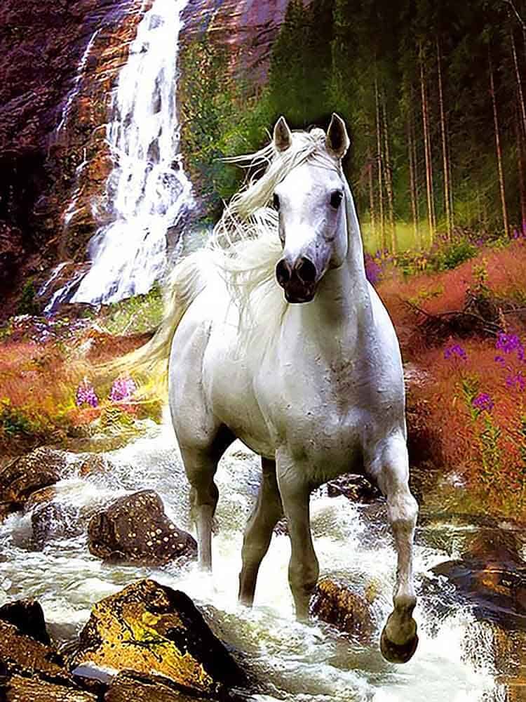 diamonds-wizard-diamond-painting-kits-Animals-Horse-Horse's-Waterfall-Wonder-original.jpg