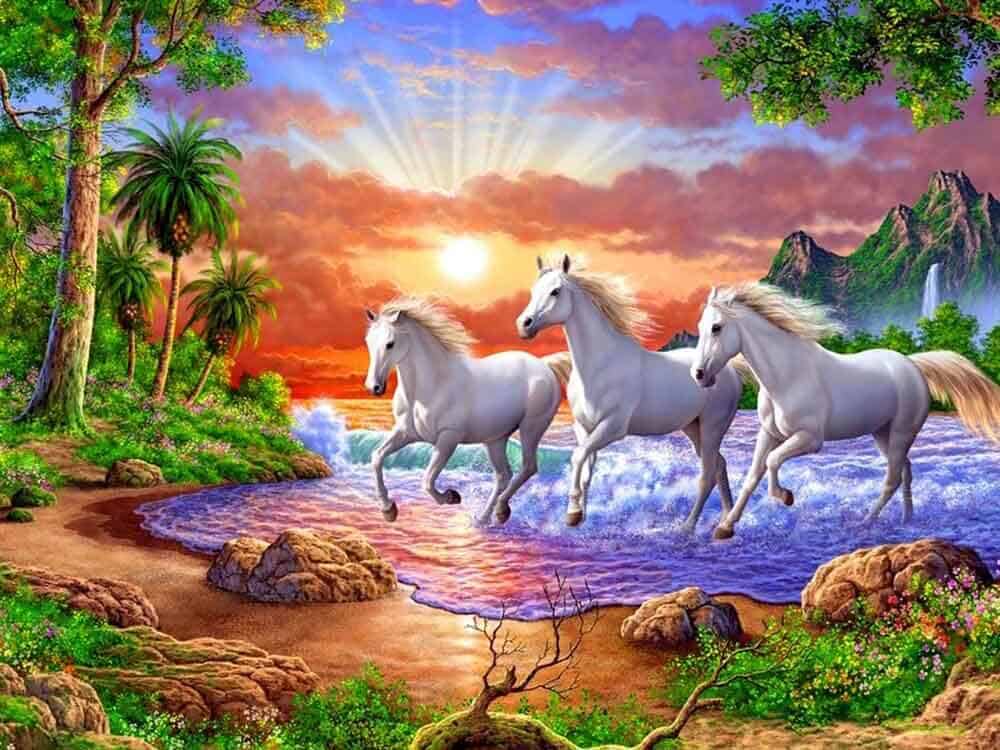 Diamonds-Wizard-Diamond-Paradise-Kits-Animals-Horse-Island-Horse-Paradise-original.jpg