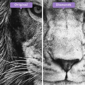 diamonds-wizard-diamond-painting-kits-animals-lion-black-and-white-lion-before-after-jpg