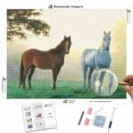 diamonds-wizard-diamond-painting-kits-animali-cavallo-equino-mistero-nella-nebbia-tela-jpg