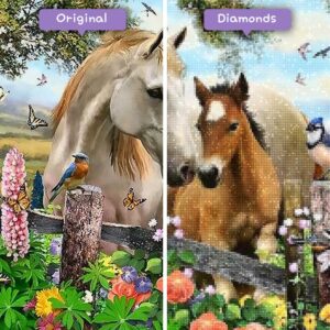diamanter-veiviser-diamant-malesett-dyr-heste-hester-i-et-beite-før-etter-jpg