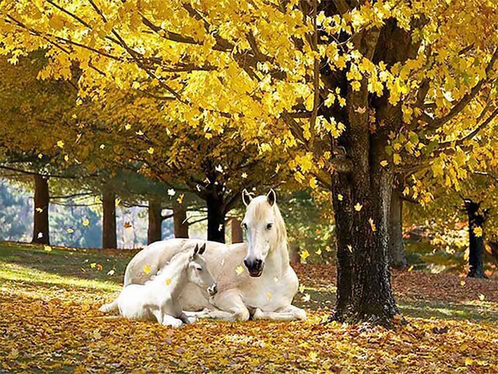 diamonds-wizard-diamond-painting-kits-Animals-Horse-Mother-and-Foal-in-Autumn-original.jpg