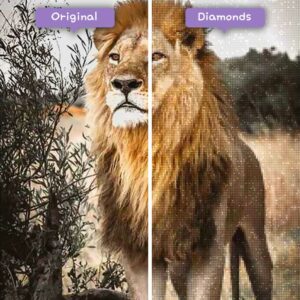 diamanter-veiviser-diamant-malesett-dyr-løve-løve-i-savannen-før-etter-jpg