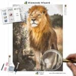 Diamonds-Wizard-Diamond-Painting-Kits-Animals-Lion-Lion-in-Savannah-Canvas-jpg
